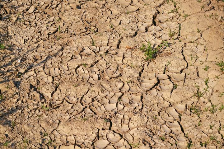 dry-soil-3453272_1920_full_width.jpg