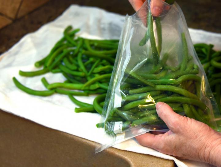 green-beans-freezing-shutterstock_1789014719_full_width.jpg